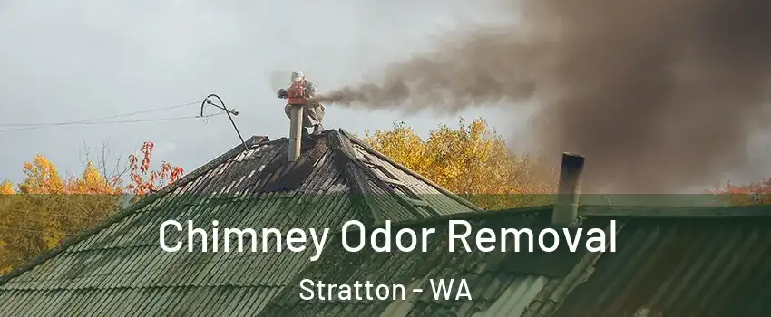 Chimney Odor Removal Stratton - WA