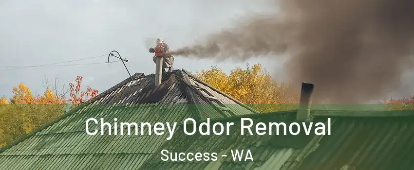 Chimney Odor Removal Success - WA
