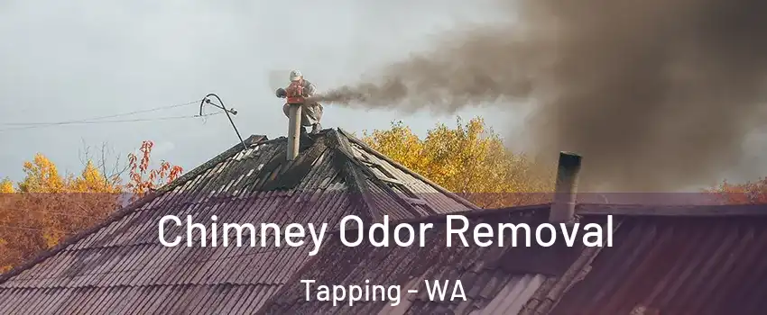 Chimney Odor Removal Tapping - WA