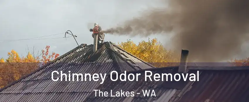 Chimney Odor Removal The Lakes - WA