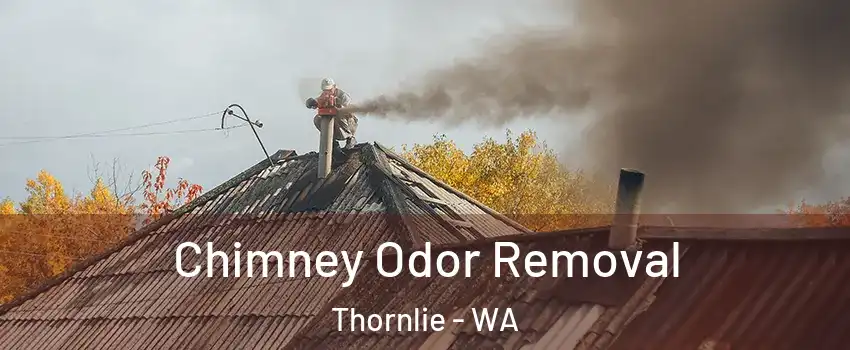 Chimney Odor Removal Thornlie - WA
