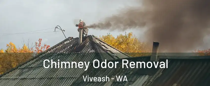 Chimney Odor Removal Viveash - WA