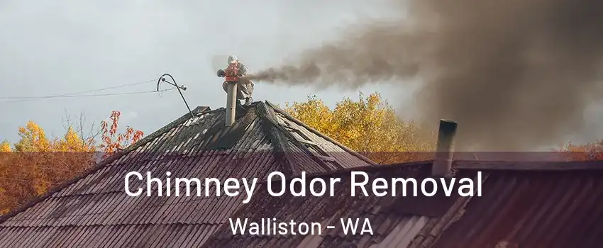 Chimney Odor Removal Walliston - WA