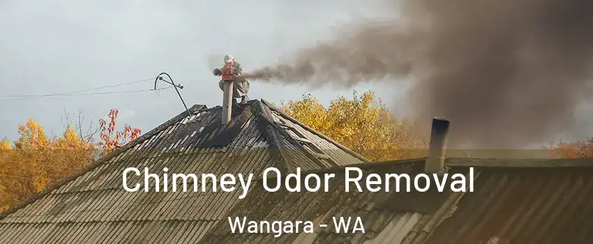 Chimney Odor Removal Wangara - WA