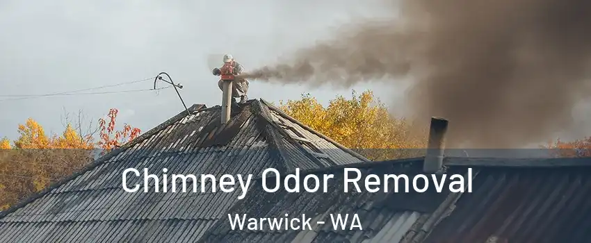 Chimney Odor Removal Warwick - WA