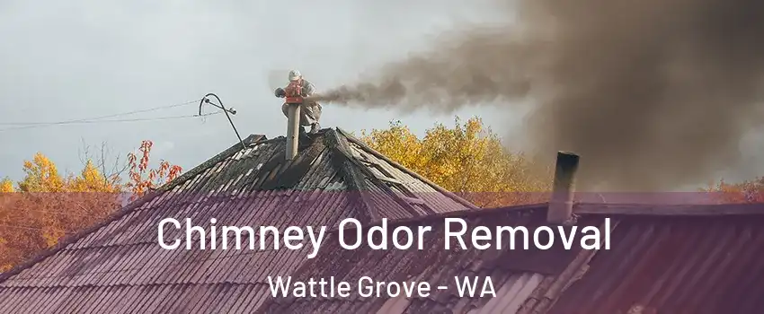 Chimney Odor Removal Wattle Grove - WA