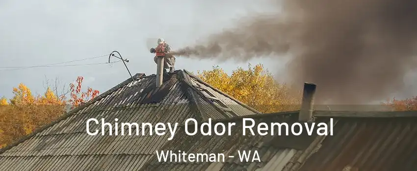 Chimney Odor Removal Whiteman - WA