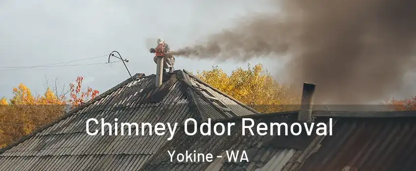 Chimney Odor Removal Yokine - WA