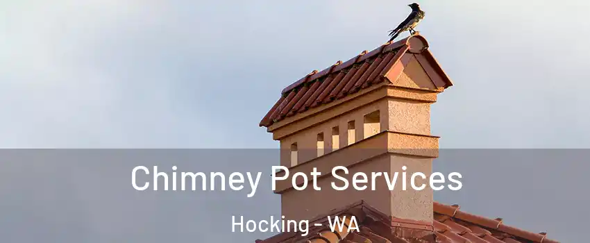 Chimney Pot Services Hocking - WA