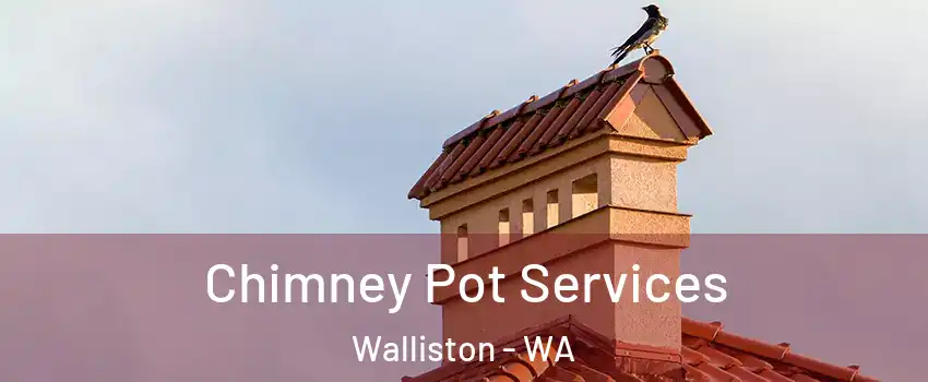 Chimney Pot Services Walliston - WA