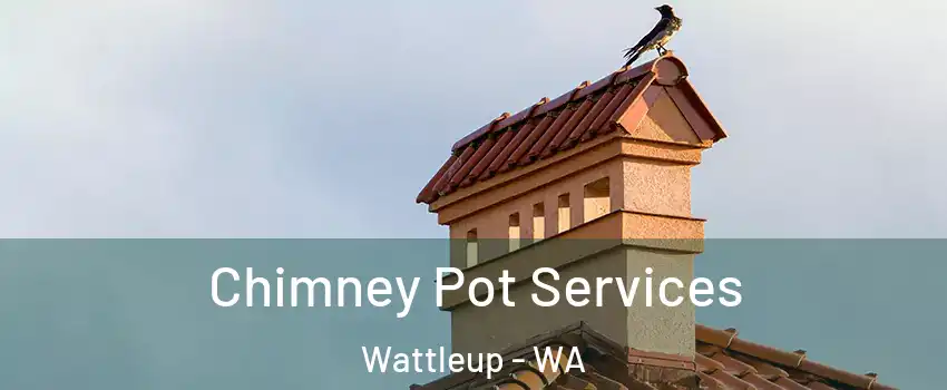 Chimney Pot Services Wattleup - WA