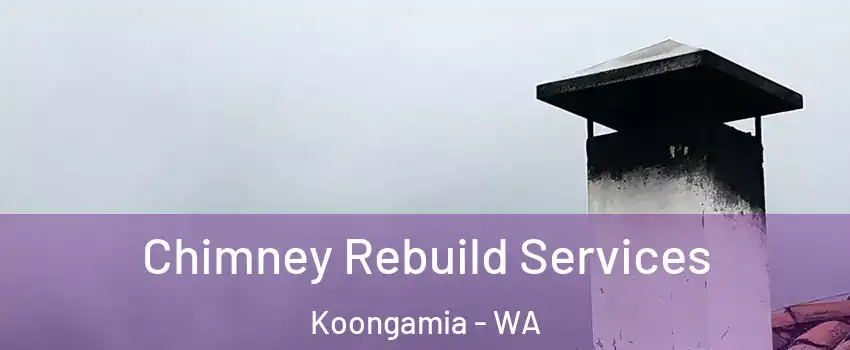 Chimney Rebuild Services Koongamia - WA