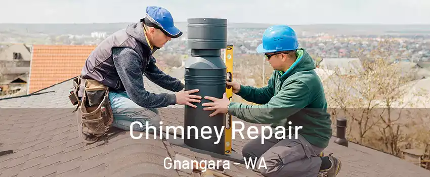 Chimney Repair Gnangara - WA