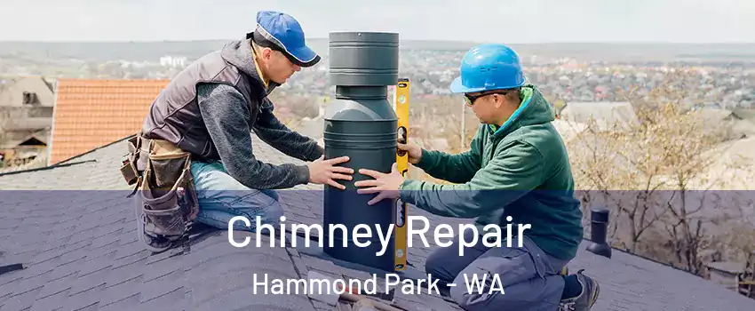 Chimney Repair Hammond Park - WA