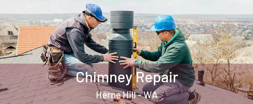 Chimney Repair Herne Hill - WA