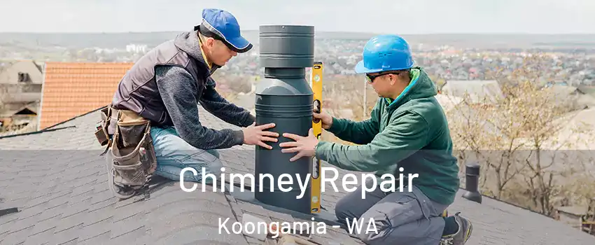 Chimney Repair Koongamia - WA