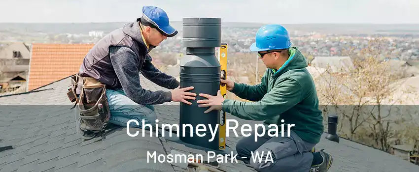 Chimney Repair Mosman Park - WA