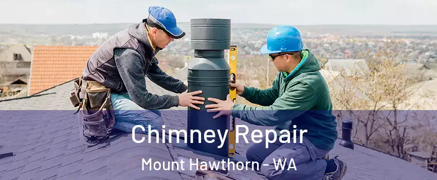 Chimney Repair Mount Hawthorn - WA