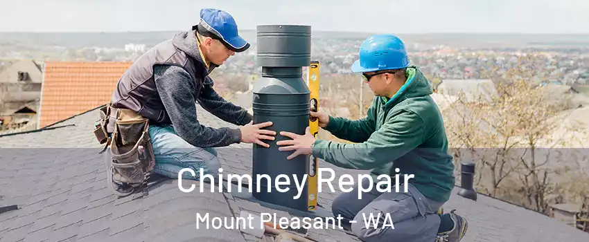 Chimney Repair Mount Pleasant - WA