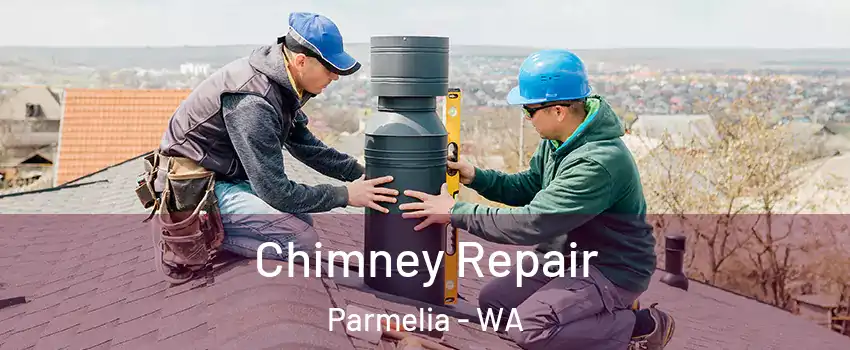 Chimney Repair Parmelia - WA