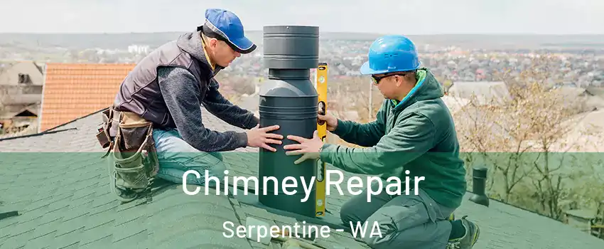 Chimney Repair Serpentine - WA
