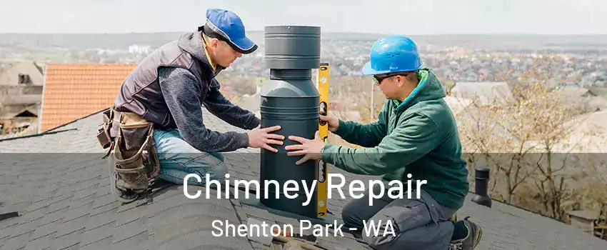 Chimney Repair Shenton Park - WA