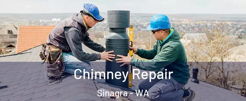 Chimney Repair Sinagra - WA