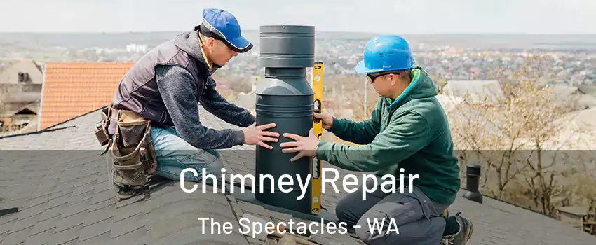 Chimney Repair The Spectacles - WA
