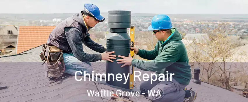Chimney Repair Wattle Grove - WA