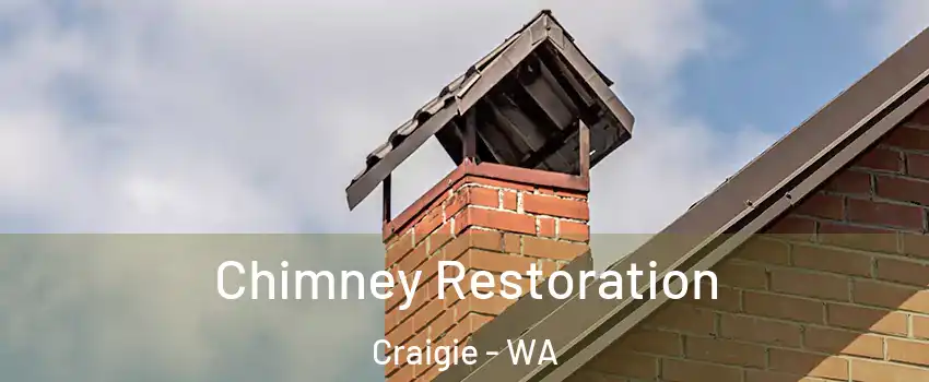 Chimney Restoration Craigie - WA