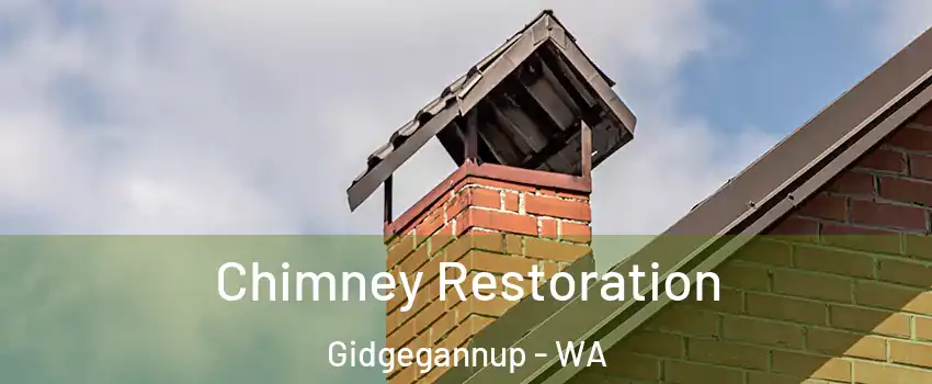 Chimney Restoration Gidgegannup - WA