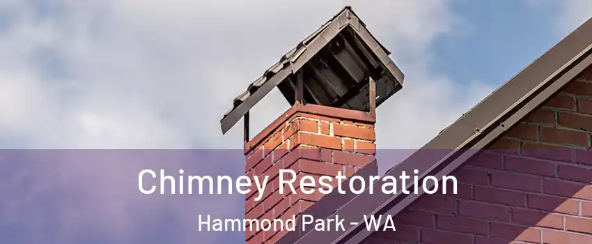 Chimney Restoration Hammond Park - WA