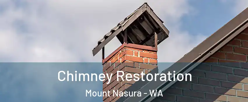 Chimney Restoration Mount Nasura - WA
