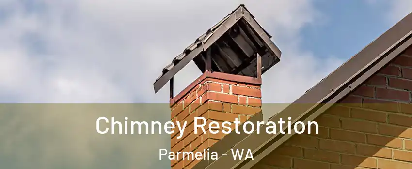 Chimney Restoration Parmelia - WA