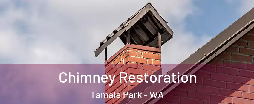 Chimney Restoration Tamala Park - WA