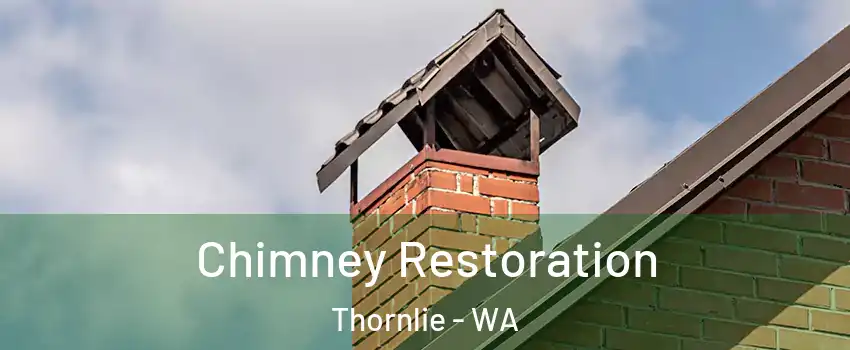 Chimney Restoration Thornlie - WA