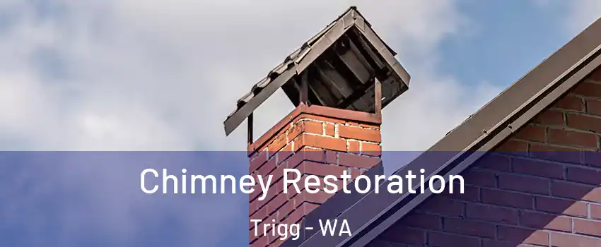 Chimney Restoration Trigg - WA