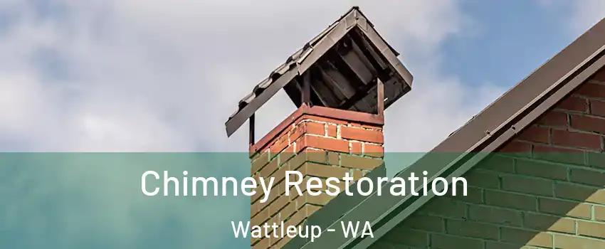 Chimney Restoration Wattleup - WA