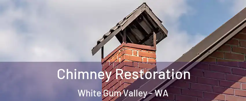 Chimney Restoration White Gum Valley - WA