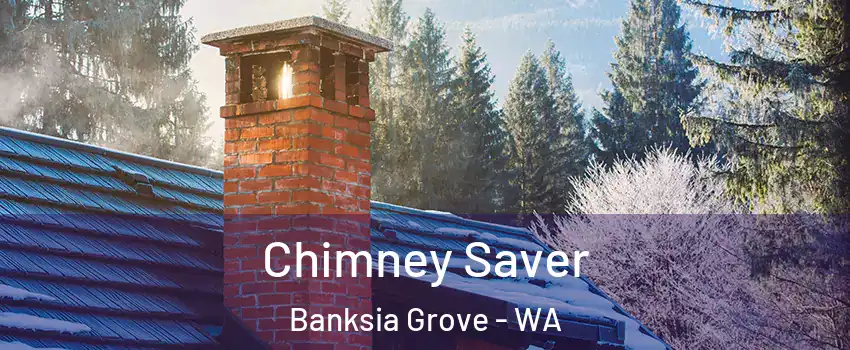 Chimney Saver Banksia Grove - WA