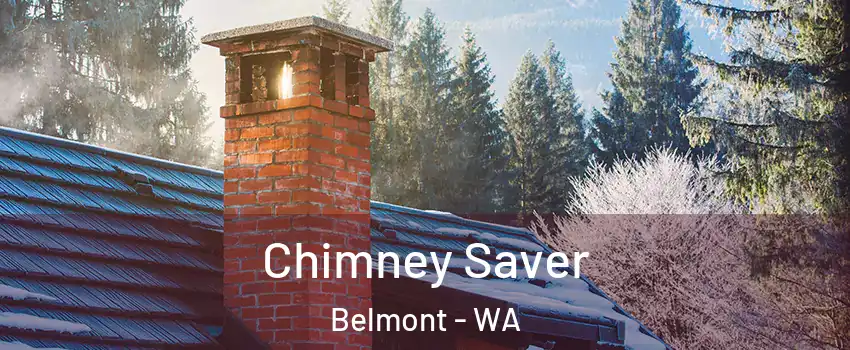 Chimney Saver Belmont - WA