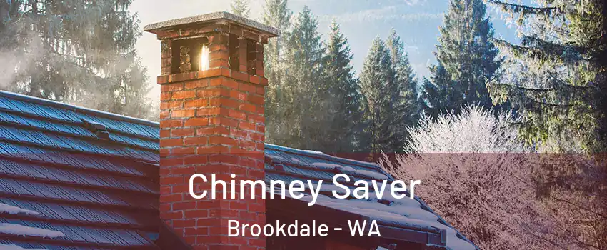 Chimney Saver Brookdale - WA