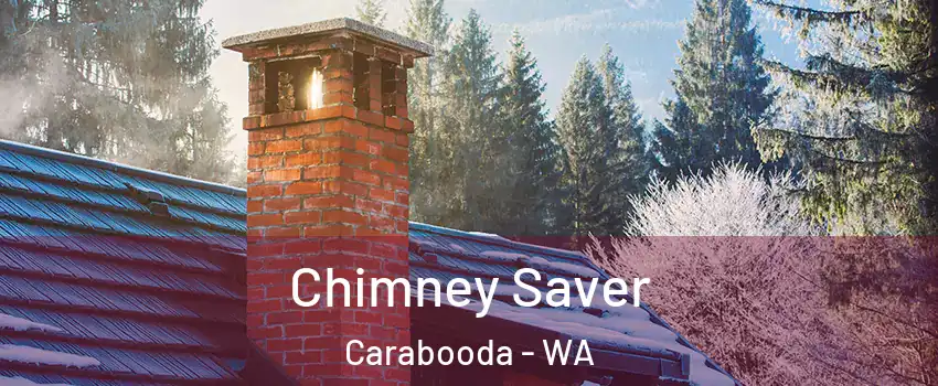 Chimney Saver Carabooda - WA