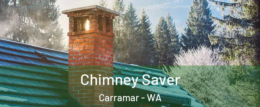 Chimney Saver Carramar - WA