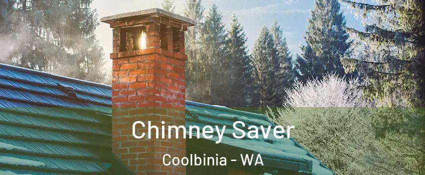 Chimney Saver Coolbinia - WA