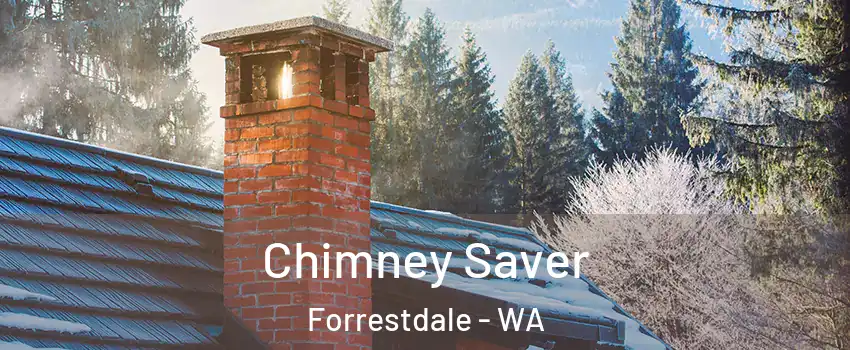 Chimney Saver Forrestdale - WA