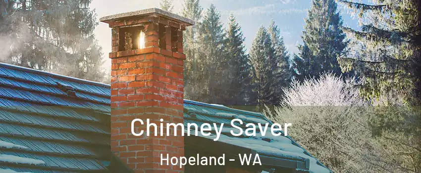 Chimney Saver Hopeland - WA