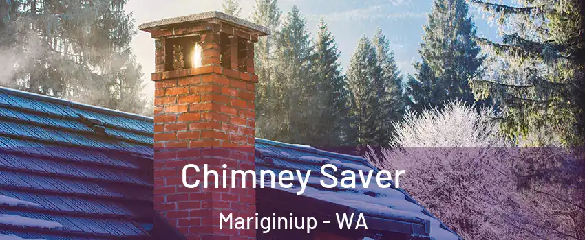 Chimney Saver Mariginiup - WA