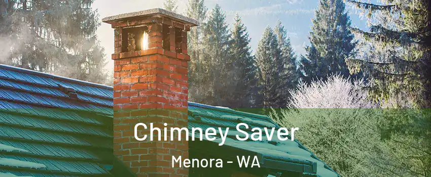 Chimney Saver Menora - WA