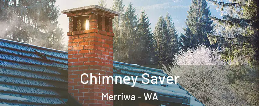 Chimney Saver Merriwa - WA